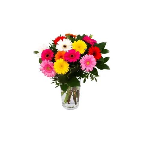 Send Multicolor Gerbera in vase to Bangladesh